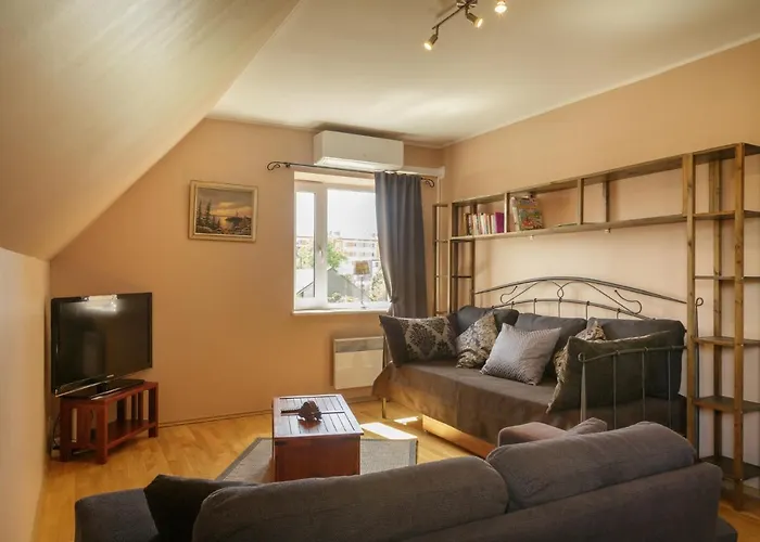 Aisa Family With Sauna